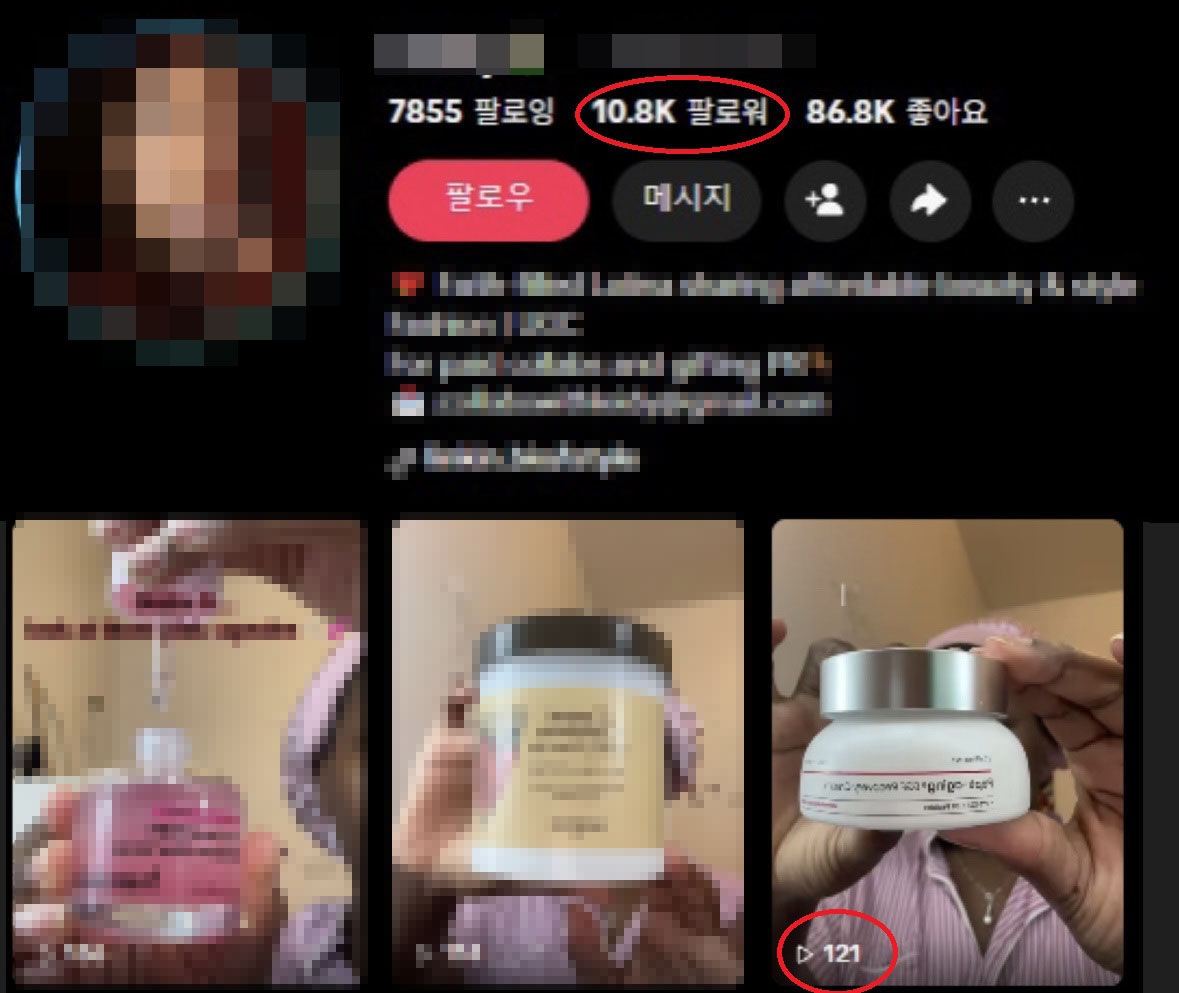 대량시딩업체 구매 인플루언서 · 팔로워 10.8K · 실제 조회수 121